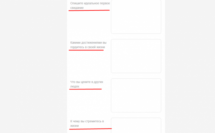 Фрагмент анкеты на topface.com
