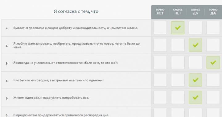 Фрагмент заполнения анкеты на сайте teamo.ru